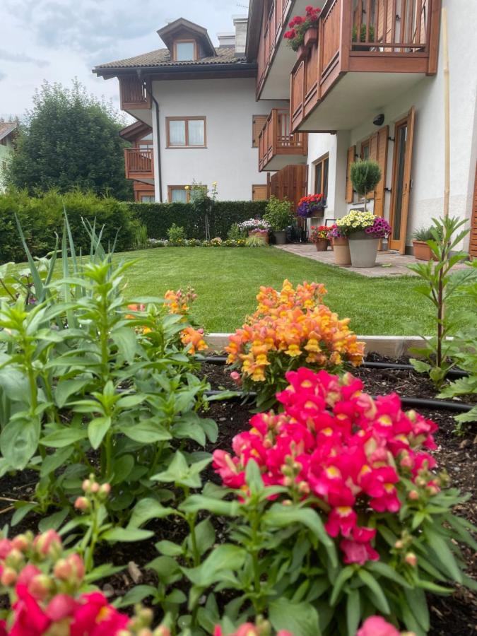 Ferienwohnung Casa Beba - Agenzia Dolomiti Affitti Cavalese Exterior foto